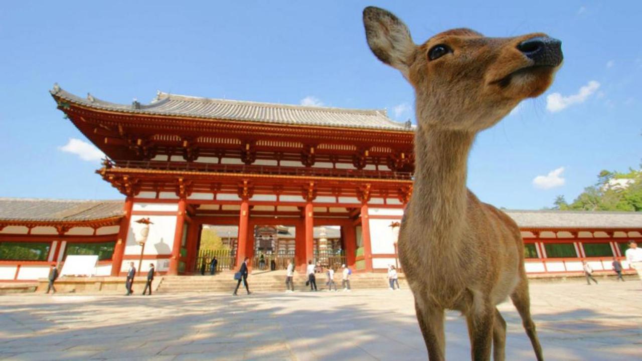 中川西 地下鉄今里駅一戸建 Samurai House Guest House Imazato 難波直通 最大7名 Osaka Dış mekan fotoğraf